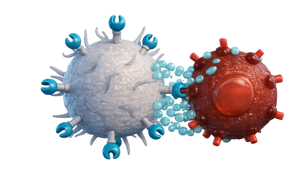 CAR-T CELL