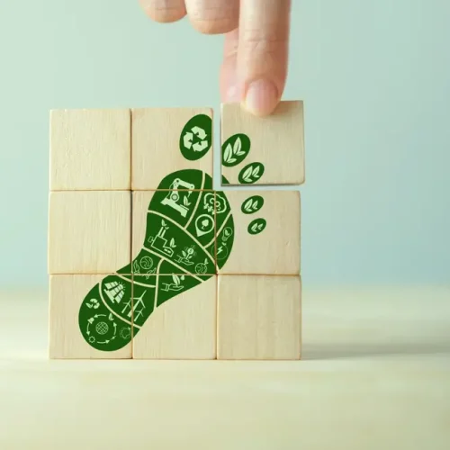ESG and Sustainability