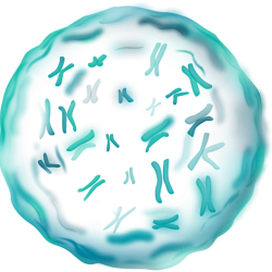 Nanoparticles Technology